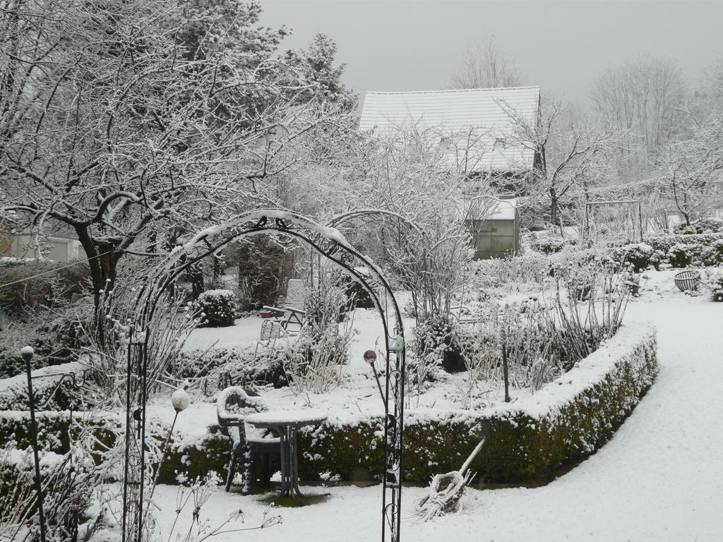 Haus Mit Aussicht Apartment Horn-Bad Meinberg Luaran gambar