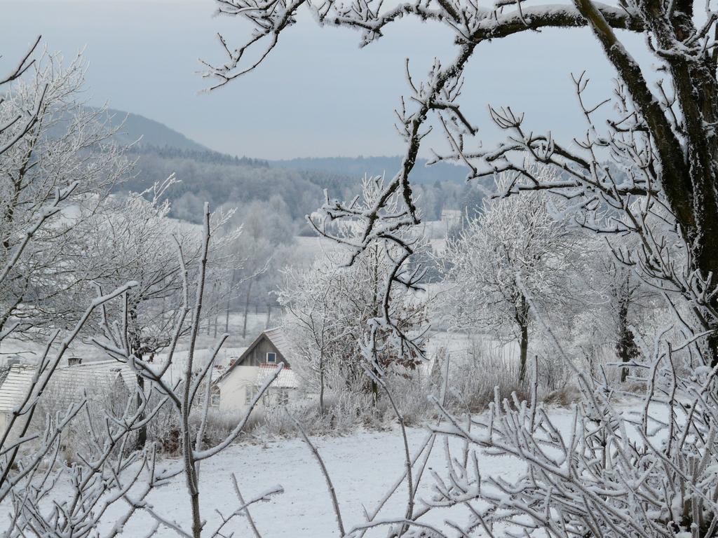 Haus Mit Aussicht Apartment Horn-Bad Meinberg Luaran gambar